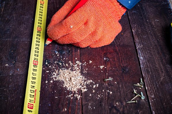 Ultimate Guide: How to Successfully Overwinter Exotic Plants Indoors in the UK